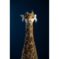 Hansa 5854-長頸鹿280公分_2