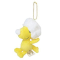 Snoopy 史努比 糊塗塌客 絨毛吊飾娃娃 (全身款)_1