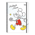 迪士尼 米奇 史努比 2026 A5月份記事本_2