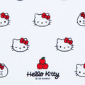 Sanrio 三麗鷗 Hello Kitty 造型眼鏡盒附拭鏡布 (大臉款)_3