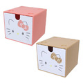 Sanrio 三麗鷗 方形積木收納盒 (大臉款) Kitty 美樂蒂 酷洛米 大耳狗 花小兔_1