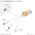 Sanrio 三麗鷗 多功能充電線吊飾 (曬黑大臉款)_2