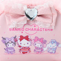 ▲新品特價 Sanrio 三麗鷗大集合 蕾絲造型化妝包 (彩虹偶像系列)_4