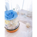 【永生花玻璃罩】蘇打藍玫瑰金底_1