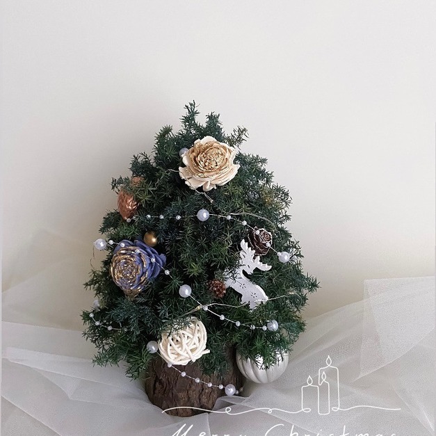 【花藝課程】花藝體驗課｜永生聖誕樹