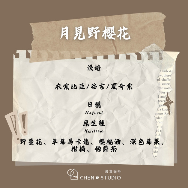 月見野櫻花｜衣索比亞｜日曬