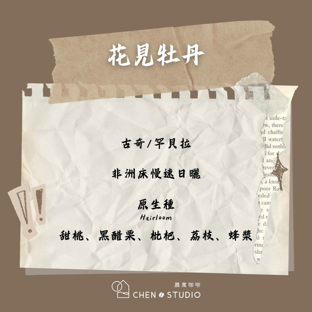 花見牡丹｜衣索比亞｜日曬