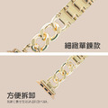 經典金屬鏈式 Apple Watch錶帶_2