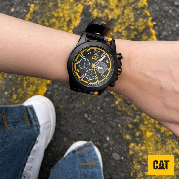 12CATCAT