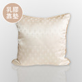 OCEAN 歐風雅緻緹花氣壓式乳膠靠墊-45x45cm