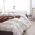 澳洲Simple Living 特大波蘭98/2雲柔天堂鵝絨被_1