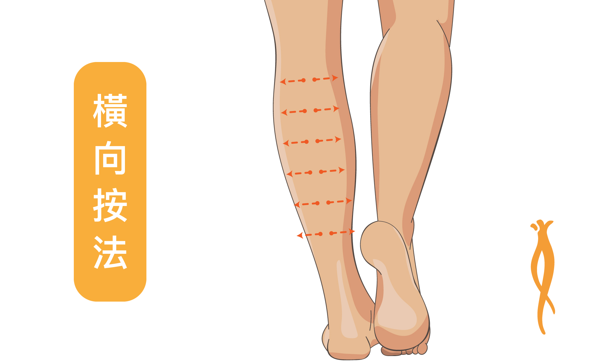 橫向按摩手法示範