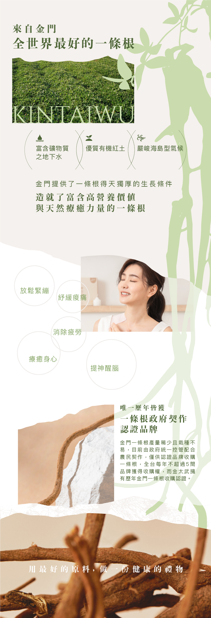 金太武金門一條根介紹 - 天然栽種環境與草本療癒功效