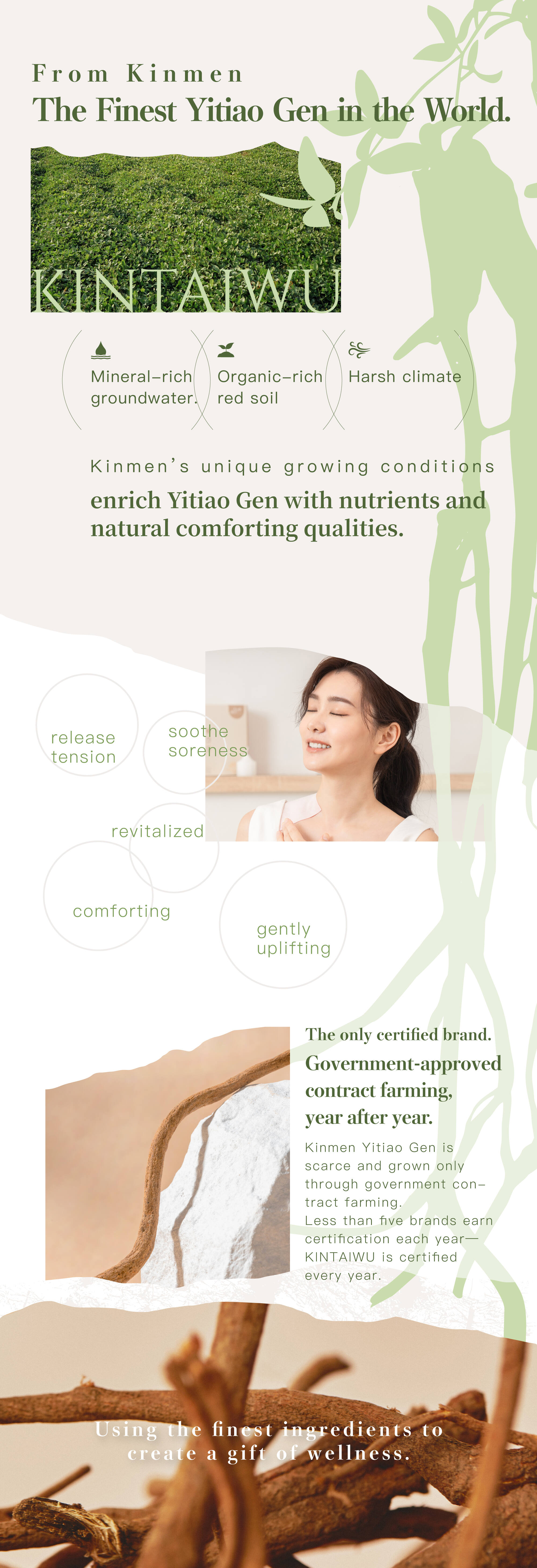 金太武金門一條根介紹 - 天然栽種環境與草本療癒功效