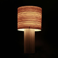 木光/ Wood lamp-斑斕木紋
