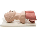 Laerdal Airway氣道處理訓練插管模型#25000033_1