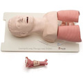 Laerdal Airway氣道處理訓練插管模型#25000033