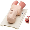 Laerdal Airway氣道處理訓練插管模型#25000033_2