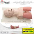 Laerdal Airway成人氣道插管安妮訓練模型#25000033