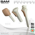 美國SAM IO 穿刺訓練骨模型