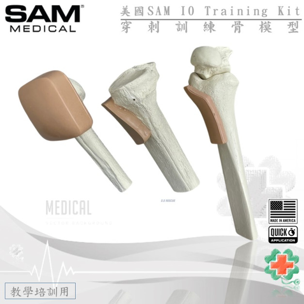美國SAM IO 穿刺訓練骨模型