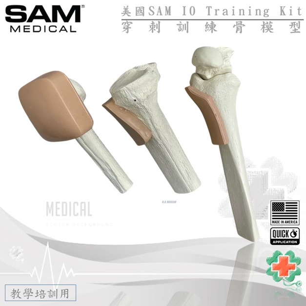美國SAM IO 穿刺訓練骨模型
