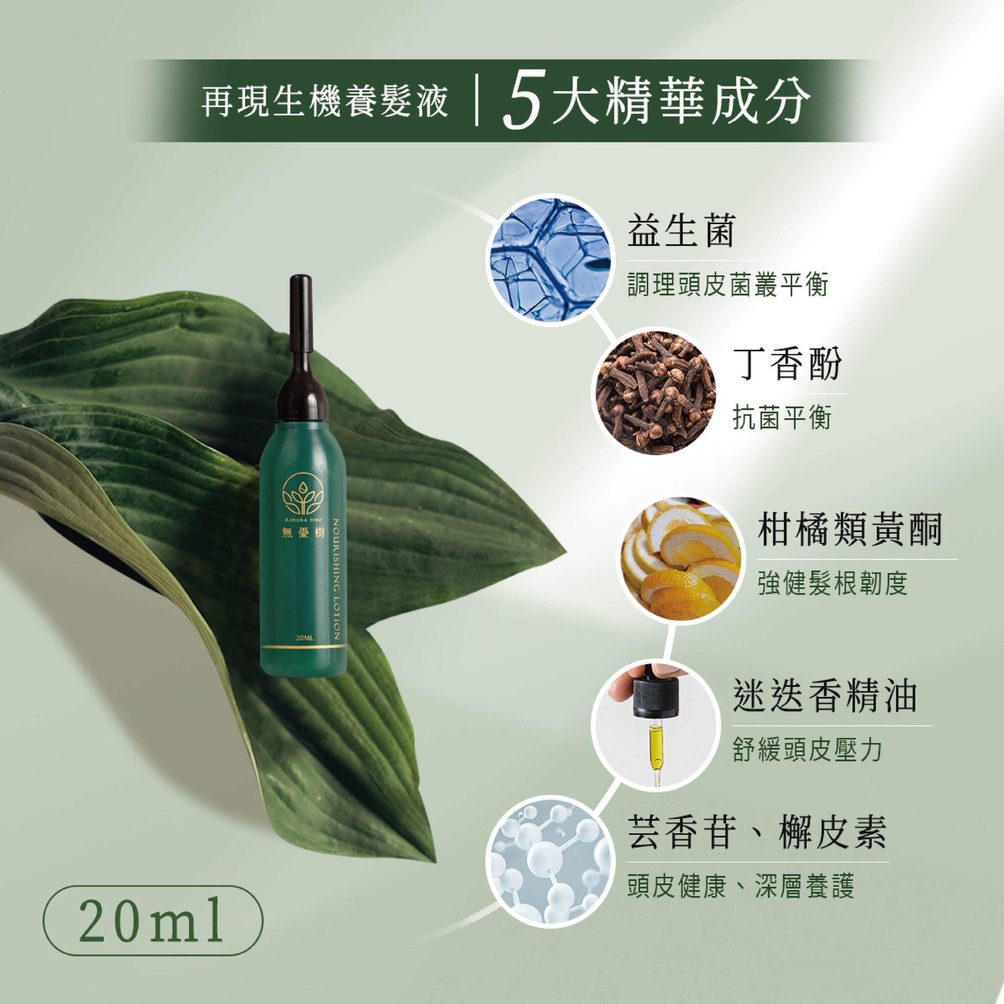 解鎖秀髮強韌秘密：科學實證「總多酚」與「胺基酸」如何重塑健康髮根