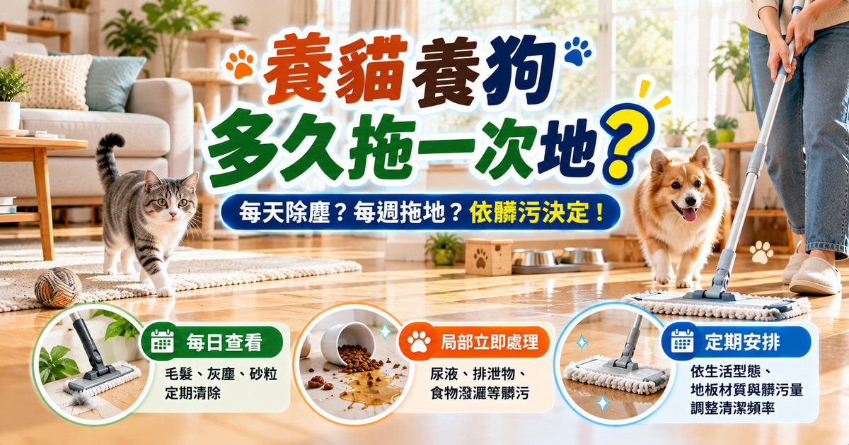 養貓養狗多久拖一次地？寵物家庭清潔頻率指南｜TKP