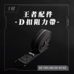 王者D扣彈力帶 D-Ring Band#3｜VRTX SPORTS Mesh  組合配件式編織阻力帶