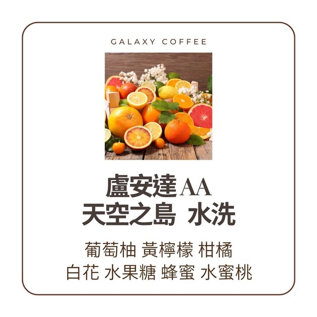 【中焙】盧安達 AA｜天空之島 ｜水洗