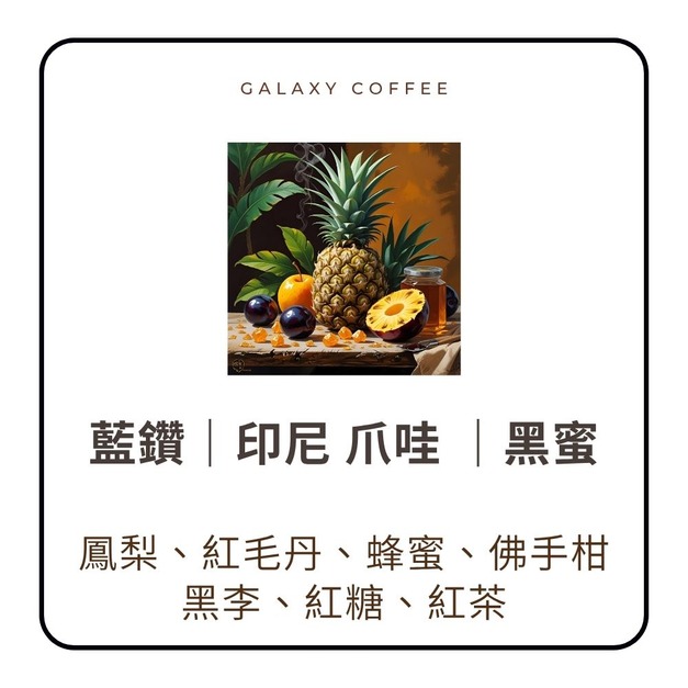 【淺中焙】藍鑽｜印尼  爪哇 ｜黑蜜   (1/4磅)