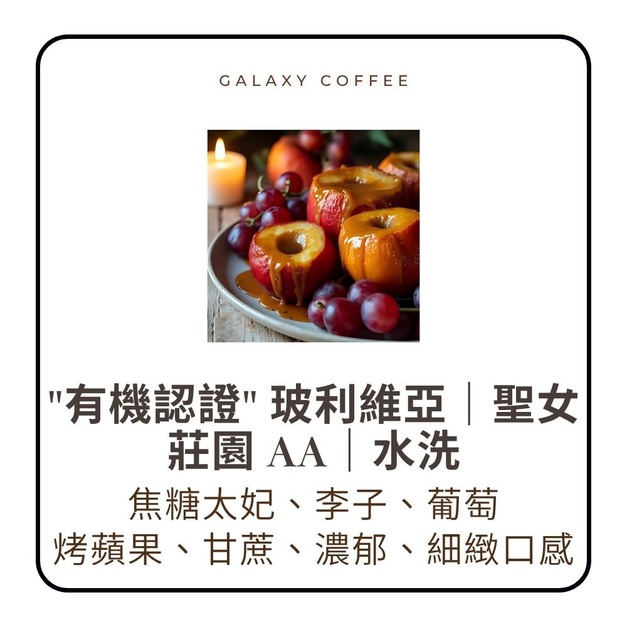 【淺焙】巴拿馬｜哈特曼莊園｜水洗