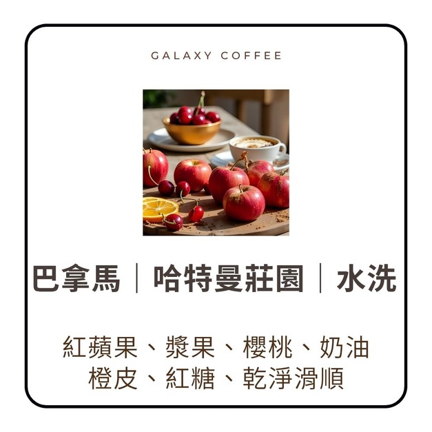 【淺焙】巴拿馬｜哈特曼莊園｜水洗