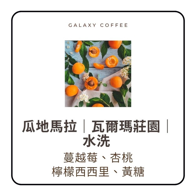 【淺焙】瓜地馬拉｜瓦爾瑪莊園｜水洗