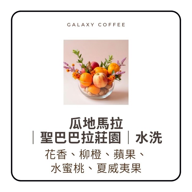 【淺中焙】瓜地馬拉｜聖巴巴拉莊園｜水洗