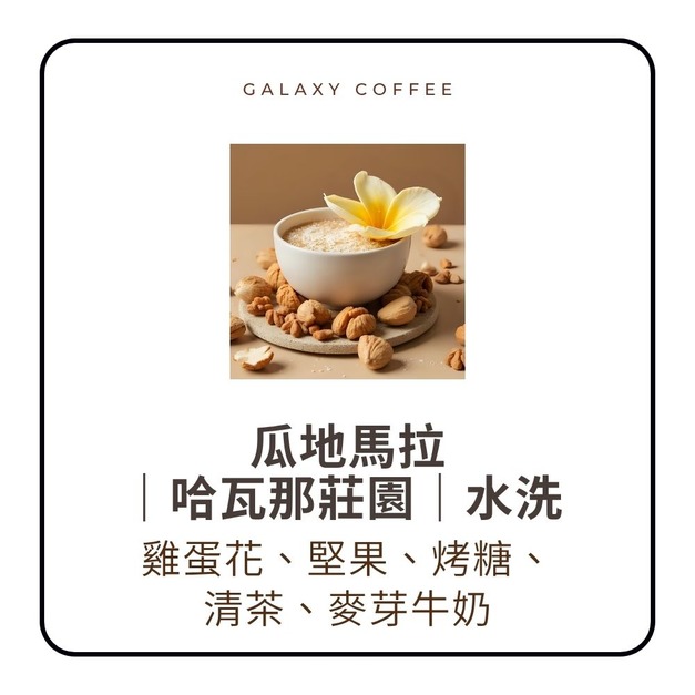 【淺中焙】瓜地馬拉｜哈瓦那莊園｜水洗