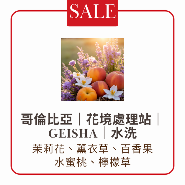 【淺焙】哥倫比亞｜花境處理站｜Geisha｜水洗