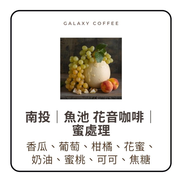 【淺中焙】南投｜魚池 花音咖啡｜蜜 (1/4磅)