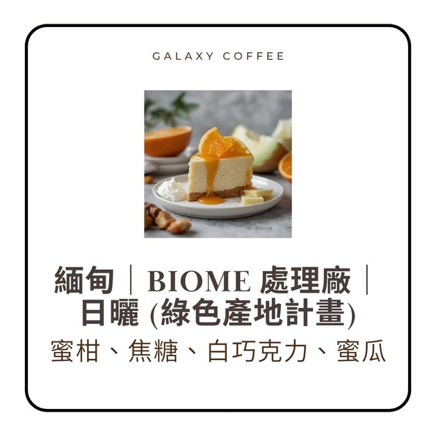 【淺中焙】★新豆上架★咖啡評鑑第4名 - 緬甸｜BIOME 處理廠｜日曬 (綠色產地計畫)