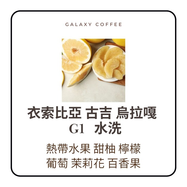 【淺中焙】衣索比亞｜古吉 烏拉嘎  G1 水