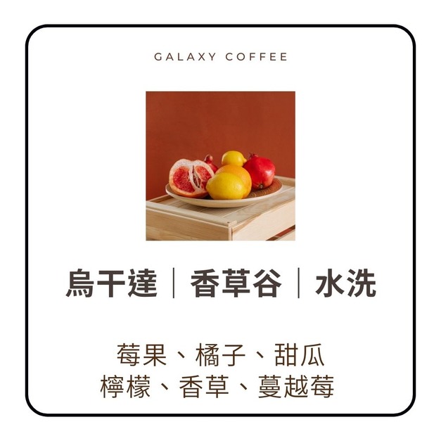 【淺中焙】烏干達｜香草谷｜水洗 