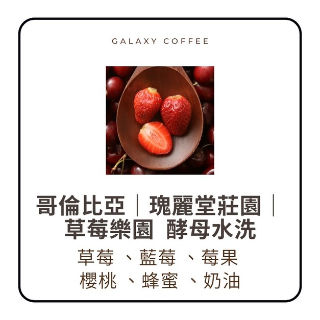 ★新豆上架★【淺焙】哥倫比亞｜瑰麗堂莊園｜草莓樂園｜酵母水洗 (1/4磅)