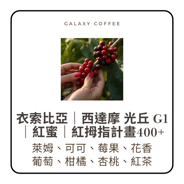 【淺焙】衣索比亞｜西達摩 光丘 G1｜紅蜜｜紅拇指計畫400+