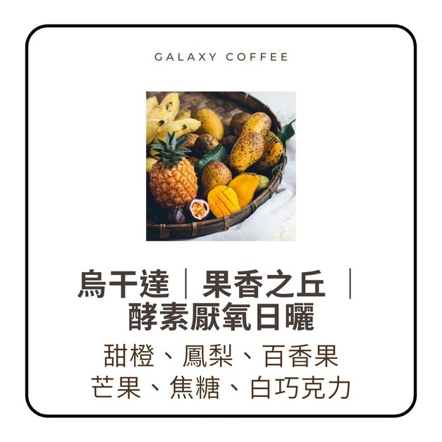 【淺焙】烏干達｜果香之丘  ｜酵素厭氧日曬