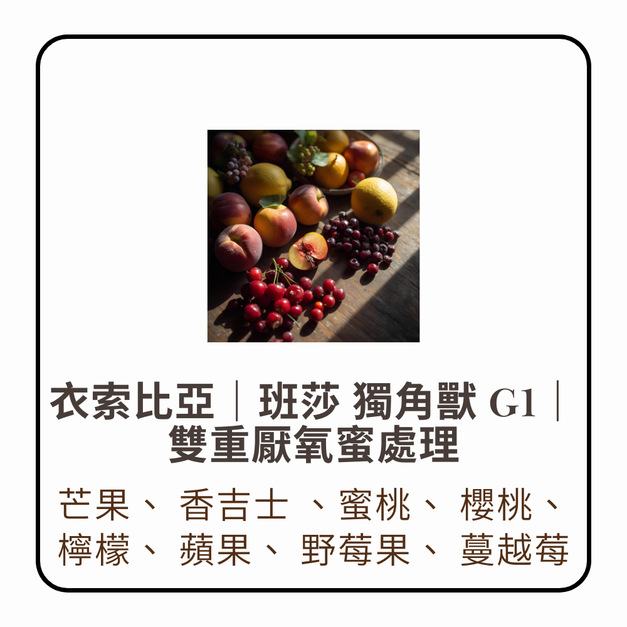 【淺焙】衣索比亞｜班莎 獨角獸 G1｜雙重厭氧蜜處理