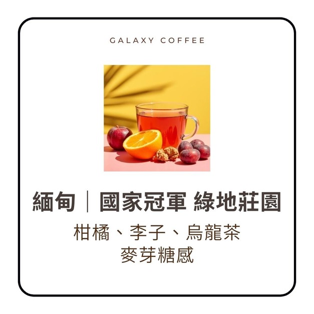 ★新豆上架★【淺中焙】緬甸｜國家冠軍 綠地莊園｜水洗