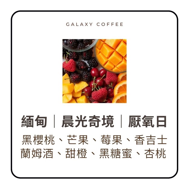 ★新豆上架★【淺焙】緬甸｜晨光奇境｜厭氧日