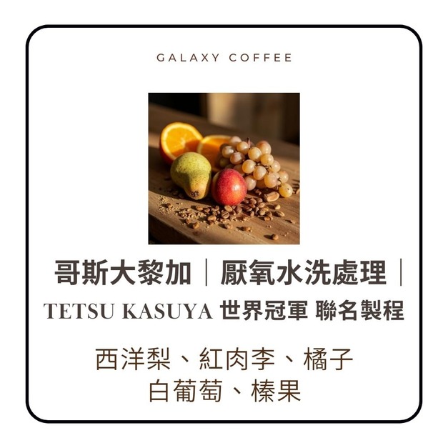 ★微量批次-新上架★【淺焙】哥斯大黎加｜Don Eli Aki ｜厭氧水洗處理｜Tetsu Kasuya 世界冠軍 聯名製程