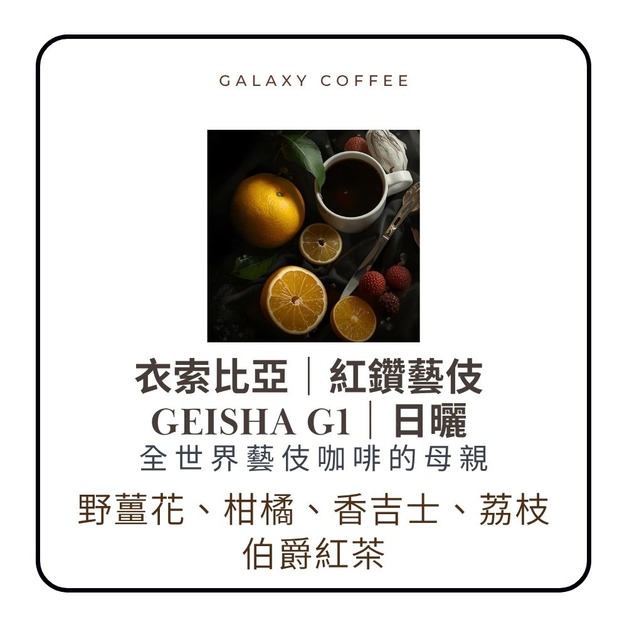 【淺焙】衣索比亞｜紅鑽藝伎 Geisha G1｜日曬