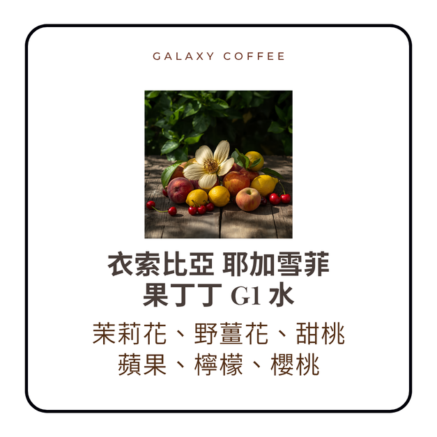 【淺焙】衣索比亞｜耶加雪菲 果丁丁G1｜水洗